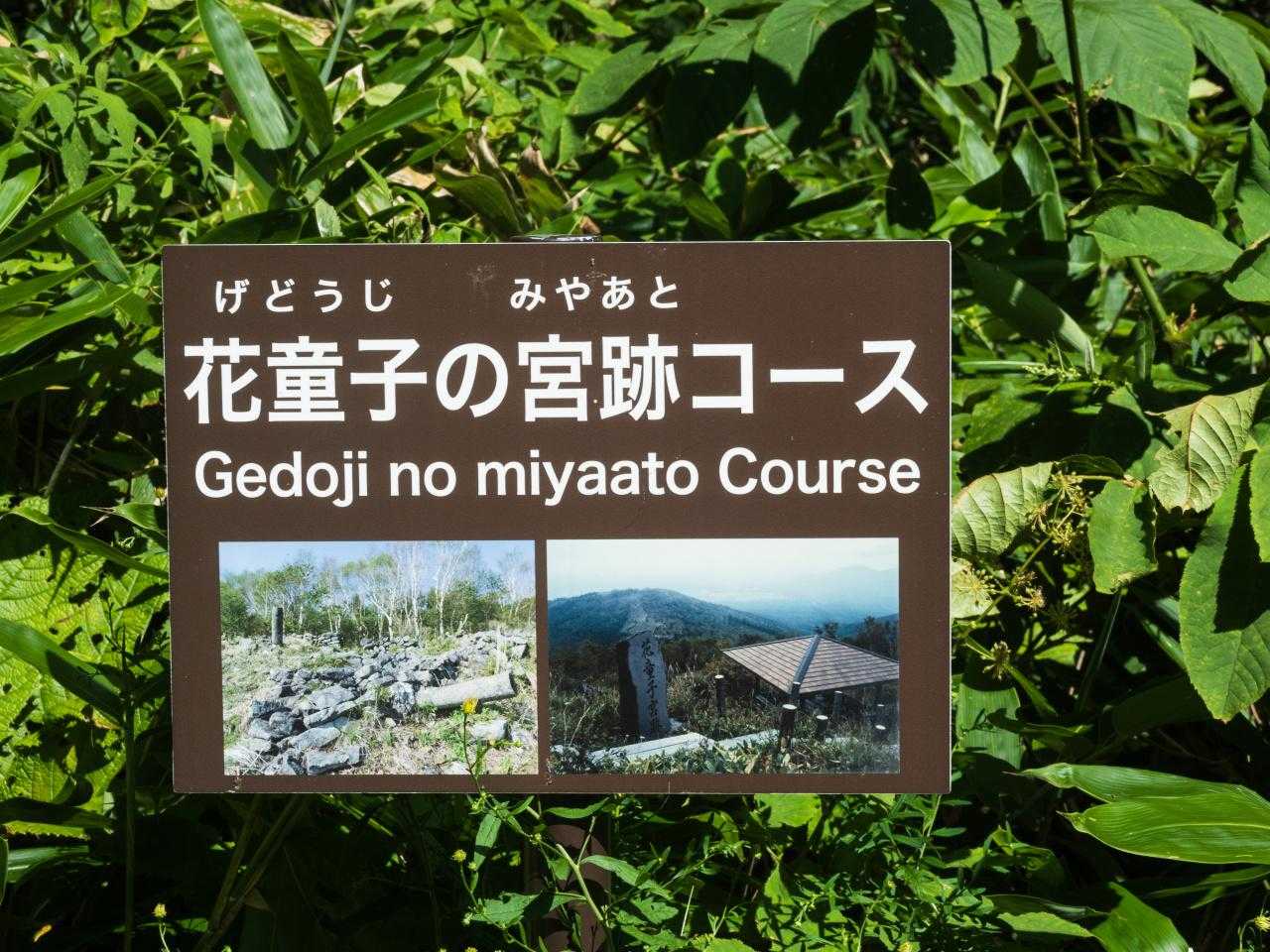 駐車場まで下りてきた。良く整備された登山道・トイレ。また歩きたいし歩くだろう。気持ちのよい登山道だ。