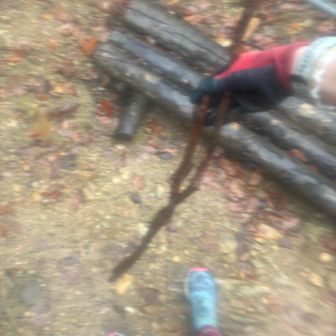 牛松山に入ると、登りこのコース1番の急斜面に足が動かない！休み休みになっていて、このままでは3時間切りはおろか前より遅くなる💦と、ストック代わりになる木の枝を探す😂
ほとんどが腐ってて「これもあかん、あれもあかん、短い」とか枝探しに無駄な労力と時間を使う😂
何とか見つかり、動き続けられるように😵
山頂手前にまた急な登りがあるので、走るときも手放さず持ってるけど、途中で折れてしまう🙀また代わりを探し、何とか山頂に着くと、5分ほど余裕ある！
3時間に合う！1分だけ写真撮って休憩して、最後の下りへ🏃‍♀️