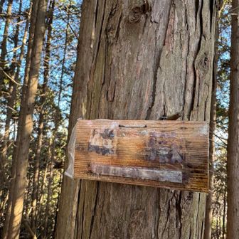 山頂、、、読めない