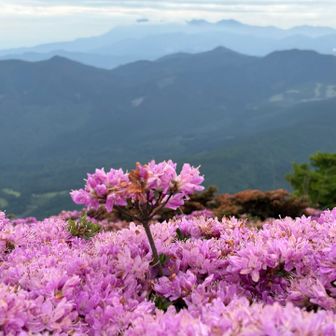 遠くに、くじゅう連山