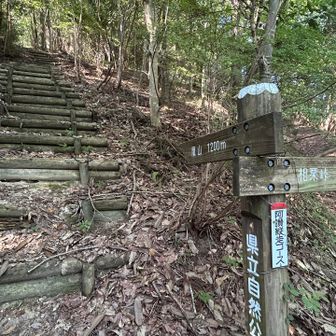 階段も直登で随分と先まで見える