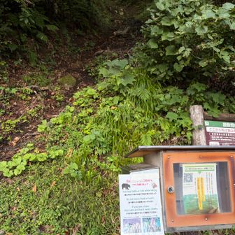 道路脇に入り口の看板🪧
入り口から壁の様な道なんですけど😨