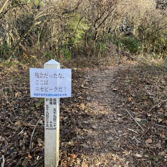 マジ騙された😣