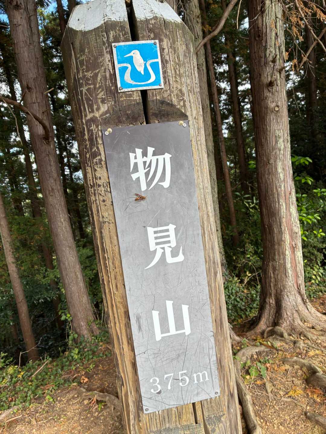 物見山も何回目？