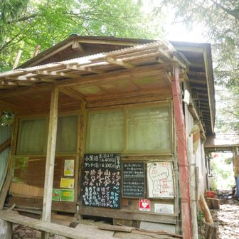頑張って歩くとやがて七つ石小屋です！