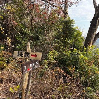 初日の出が見られるらしい