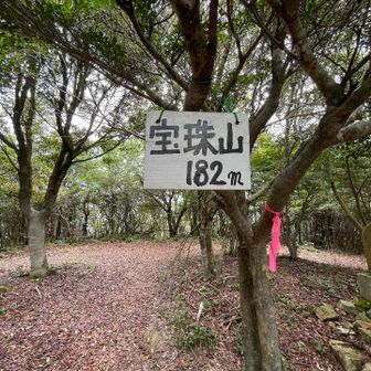 森林に囲まれてま〜す🌳