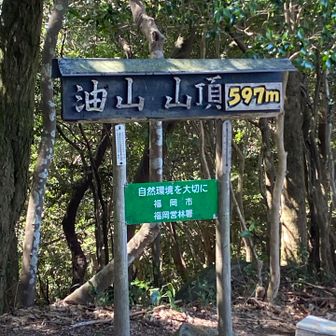 人が多い山頂