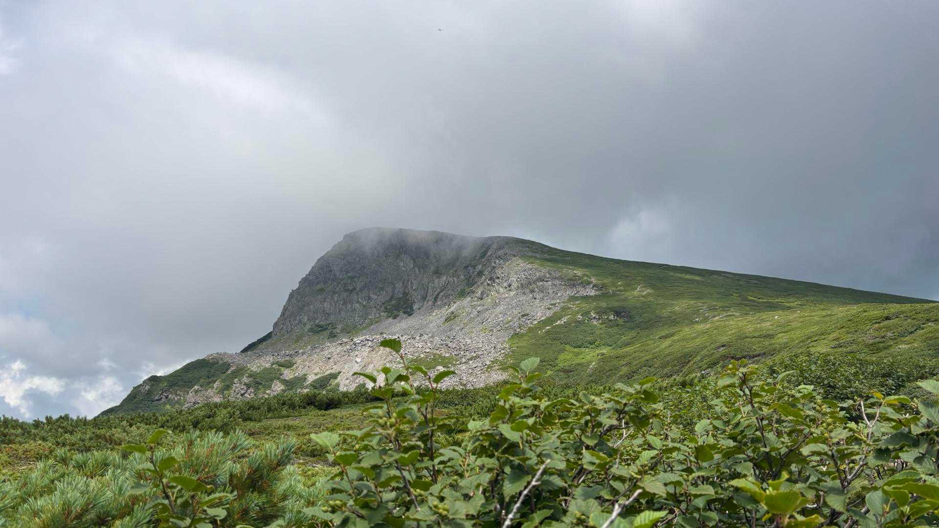 下山した途端にガスに包まれた“忠別岳”😶‍🌫️
午後からは曇り場合によっては小雨予報！