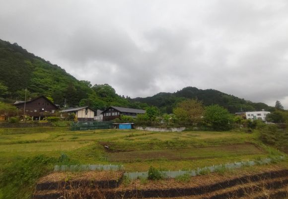 草と山 草戸山ハイキング（高尾山口駅〜草戸山〜三沢峠） | ブログ | 高尾山