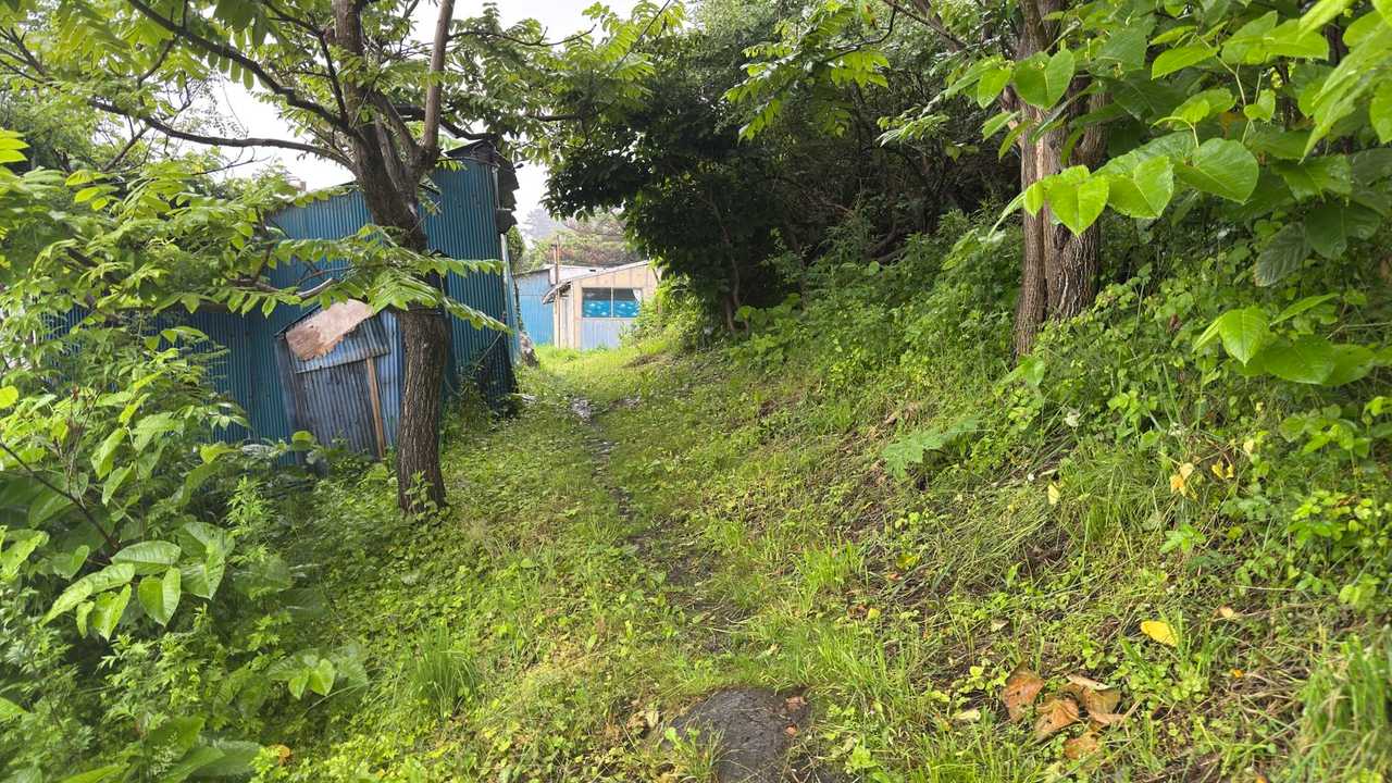 みちのく潮風トレイル（蕪島〜種差海岸）／青森遠征Day2 の写真 20