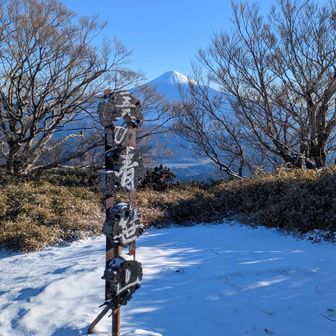 青笹山に到着

■葵高原からの二つのルートからも今日の先行者はナシ👍本日の一番を頂きました🤗