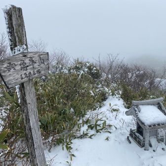 で、で、で...山頂。何も見えん😂