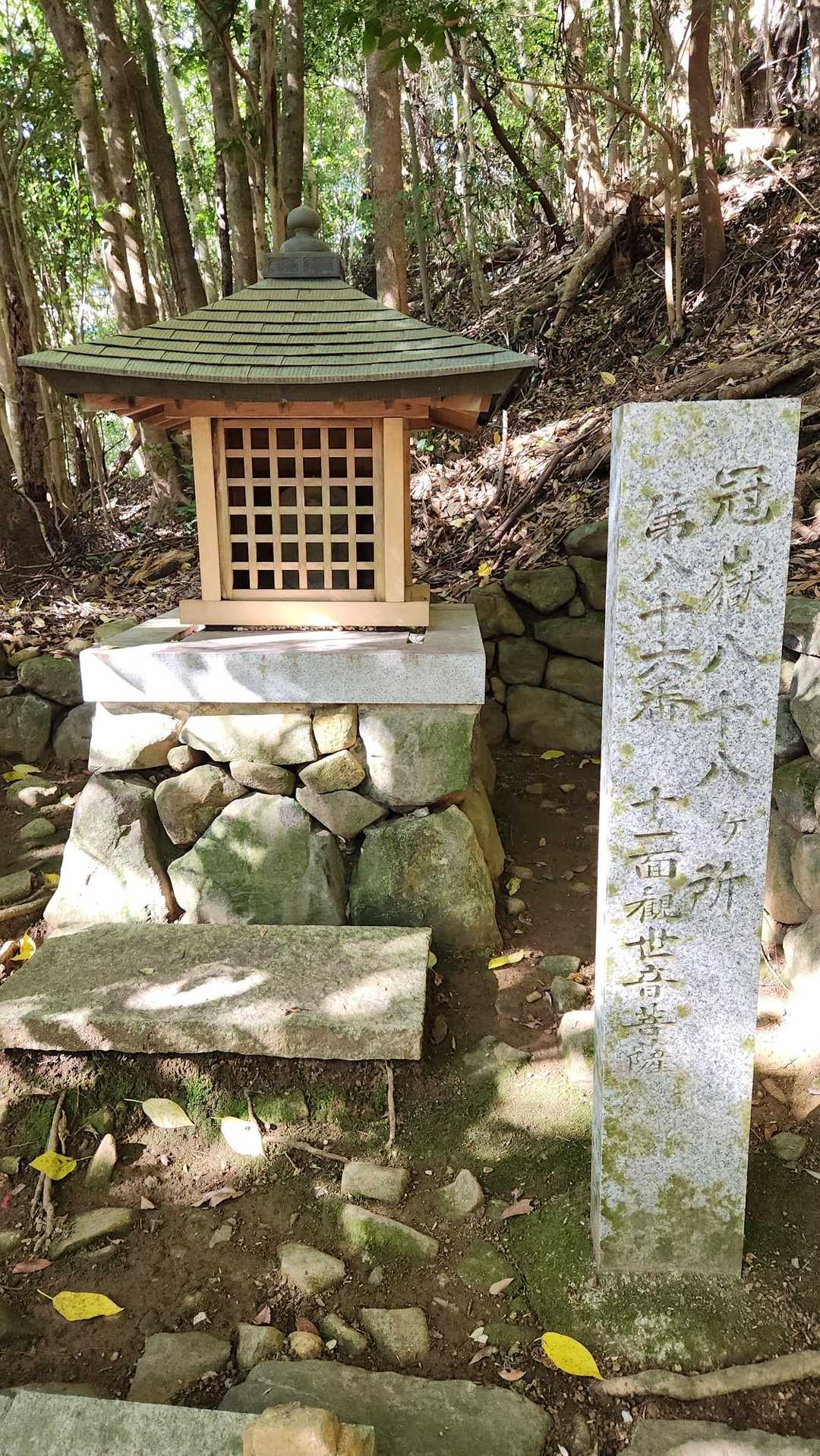 冠岳-材木岳 周回コースの写真