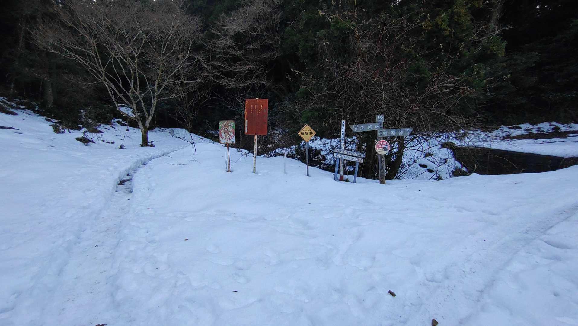 森も薄暗くなり始めてるので急ぎ下りてきたため、ここまで写真は撮影しませんでした。
ピストンだから良いでしょ😅

この先で雪は途切れるのでこの手前の沢でチェーンスパイクを洗いました～