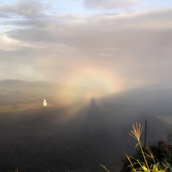 ♨温泉キング♨