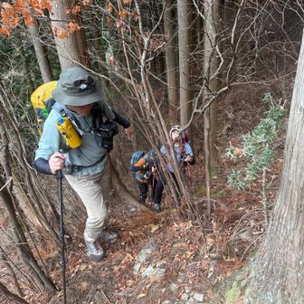 なかやかの急坂じゃ！