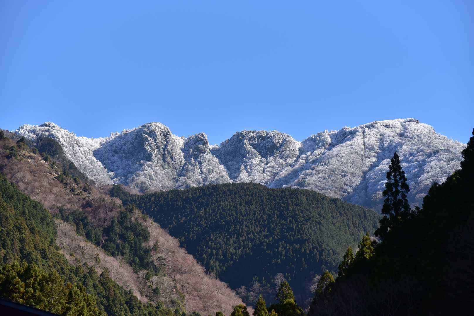 山上ヶ岳の写真