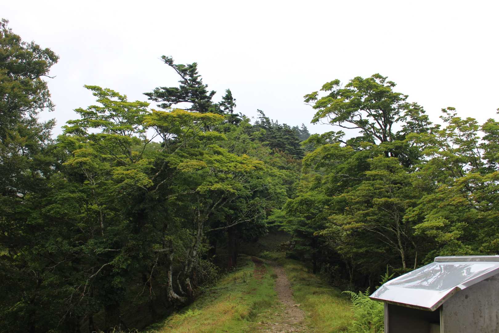 五番関-鍋冠行者堂跡-今宿跡-洞辻茶屋-山上ヶ岳 往復コースの写真