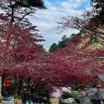 紅葉はもう終わりかな🍁
お疲れさまでした〜⛰️