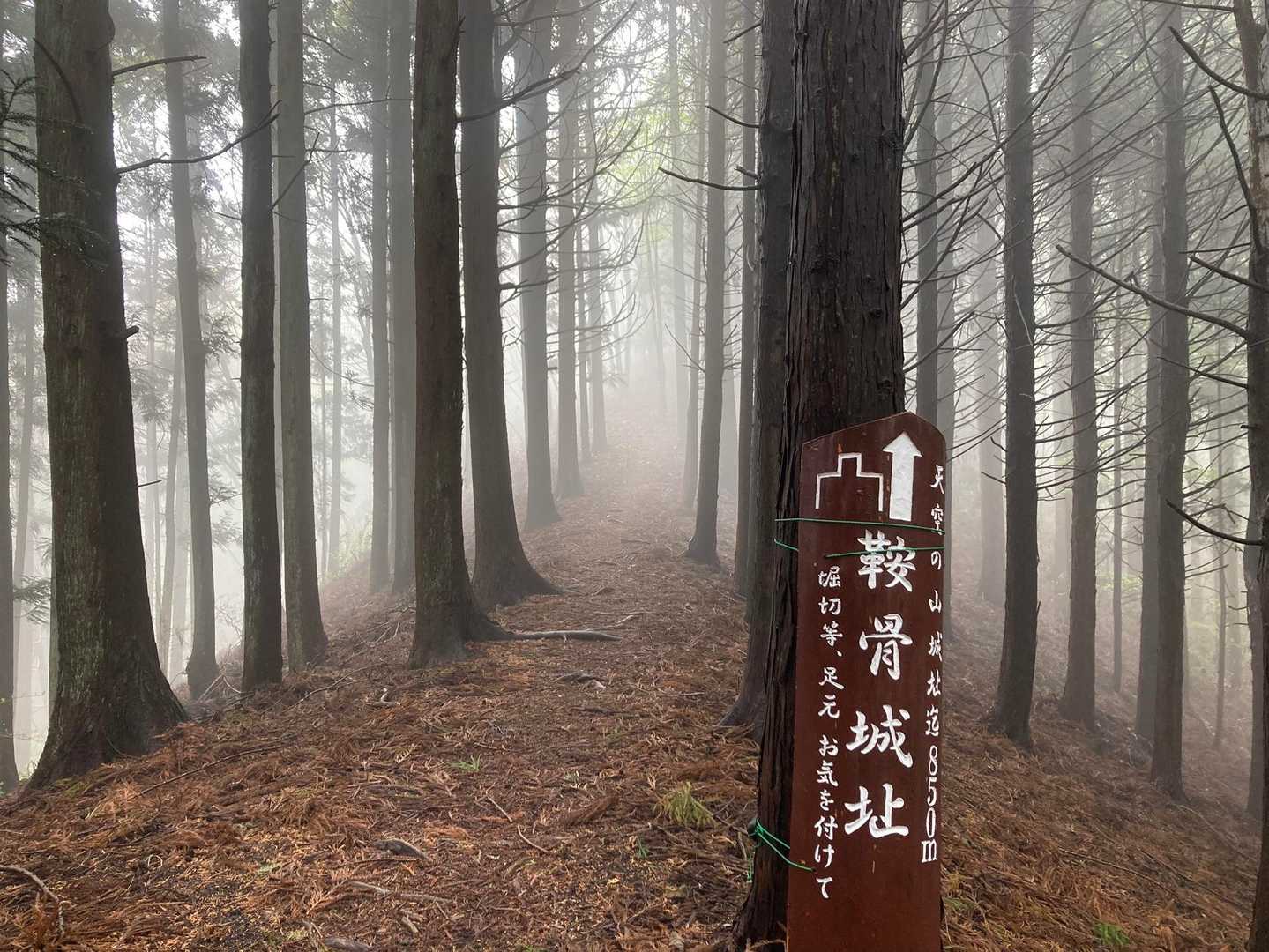 天城山-鞍骨山 往復コースの写真