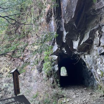予定コースとは違い予習不足だったのでこんな岩のトンネルも出てきて楽しかったです
短いのでスマホのライトで十分でした