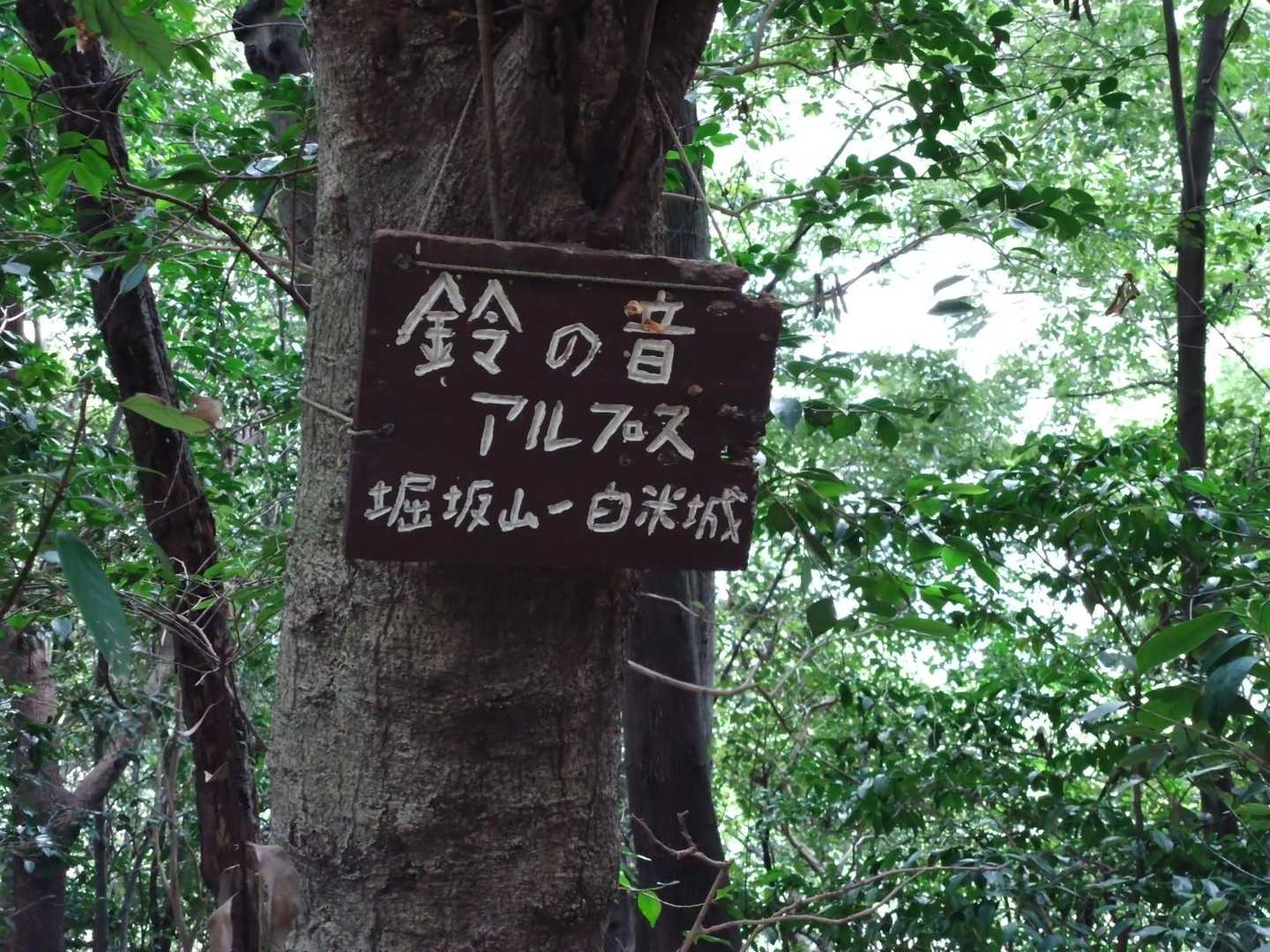 この銘板、初めて見ました😊