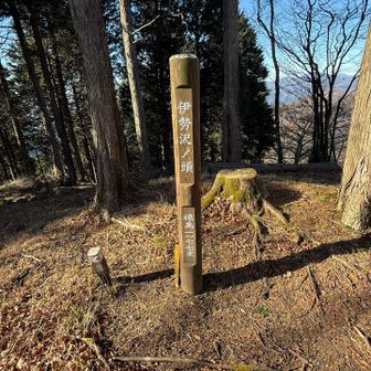 伊勢沢ノ頭山頂。ここから先しばらくは快適な山歩きができました。