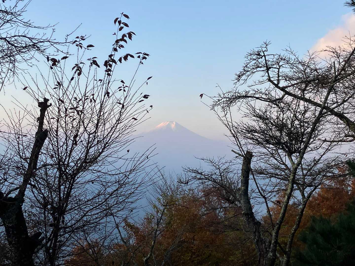 山頂から富士山🤩