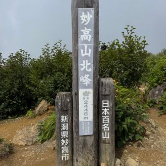 北峰に到着⛰️

先に通った南峰の方が標高は高いのですが…
北峰には立派な山頂標識🪧と
一等三角点があります🔼

ちなみにYAMAPの100名山は
北峰でカウントされます☆
