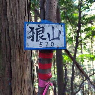 目的地の頂上に到着✌️
と思ったら