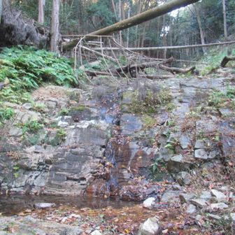 すぐ上は滝だよ。左岸のを岩を登る