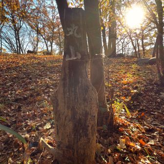 丸山山頂標識ありました👀
いと◯さん情報ありがとうございます😊
