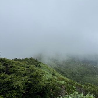 幻想的という負け惜しみ笑涙