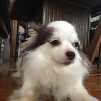 ヒロ
