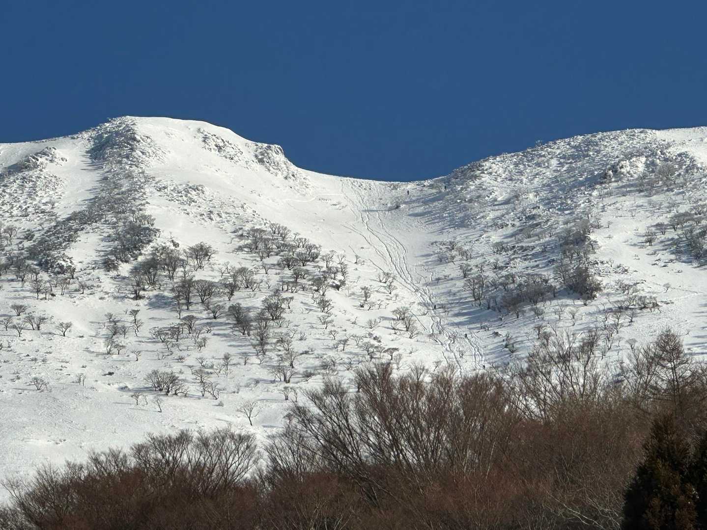 伊吹山 正面登山道（上野口コース）の写真