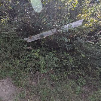 復路はスキー場方向へ