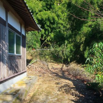 正面奥から出て来ました