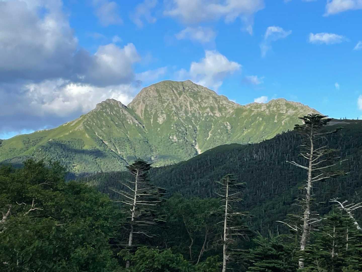 お花畑からみた塩見岳
