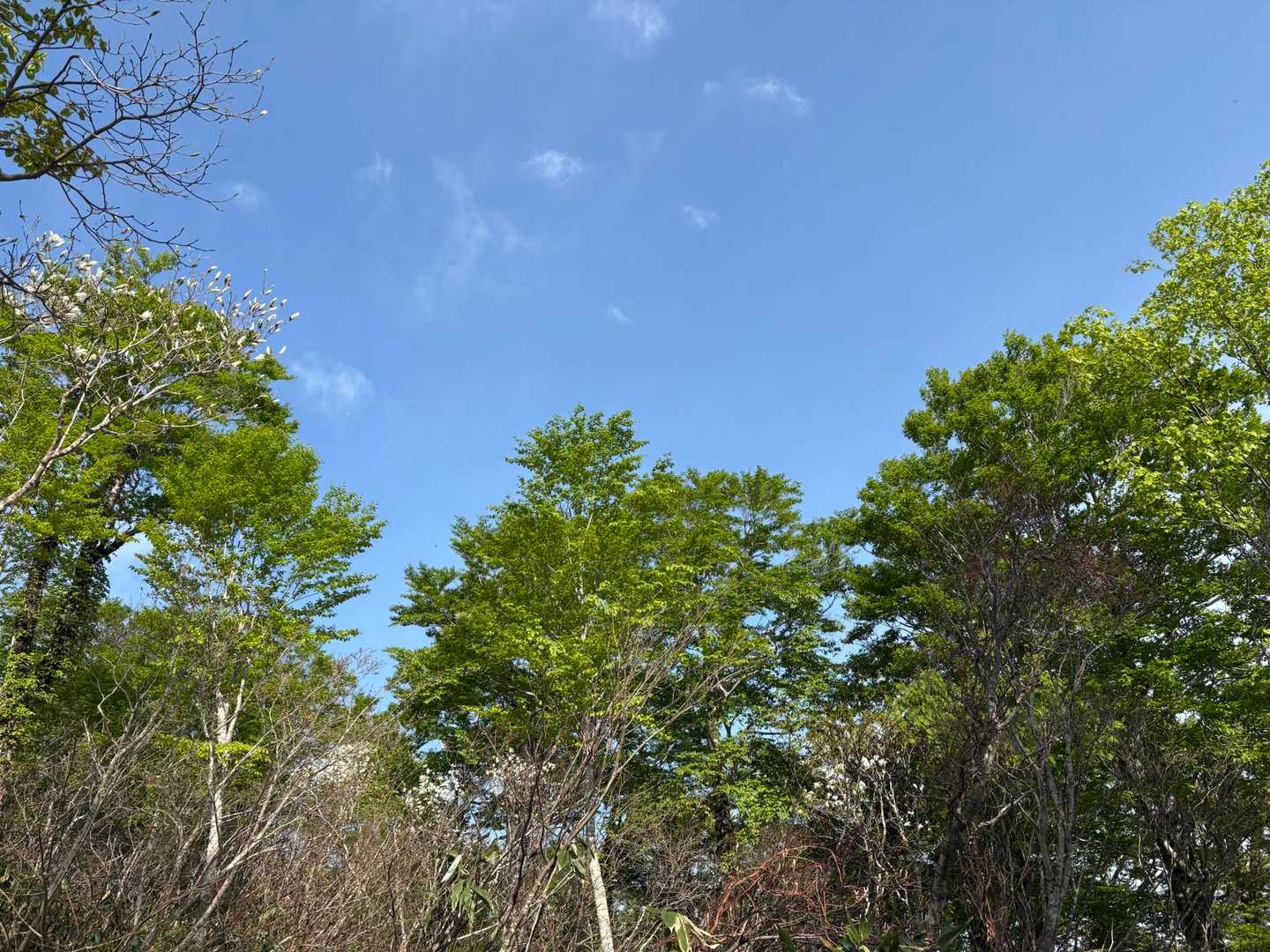 はぁ〜💕気持ちいい青空🩵