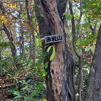 山頂は景色がない