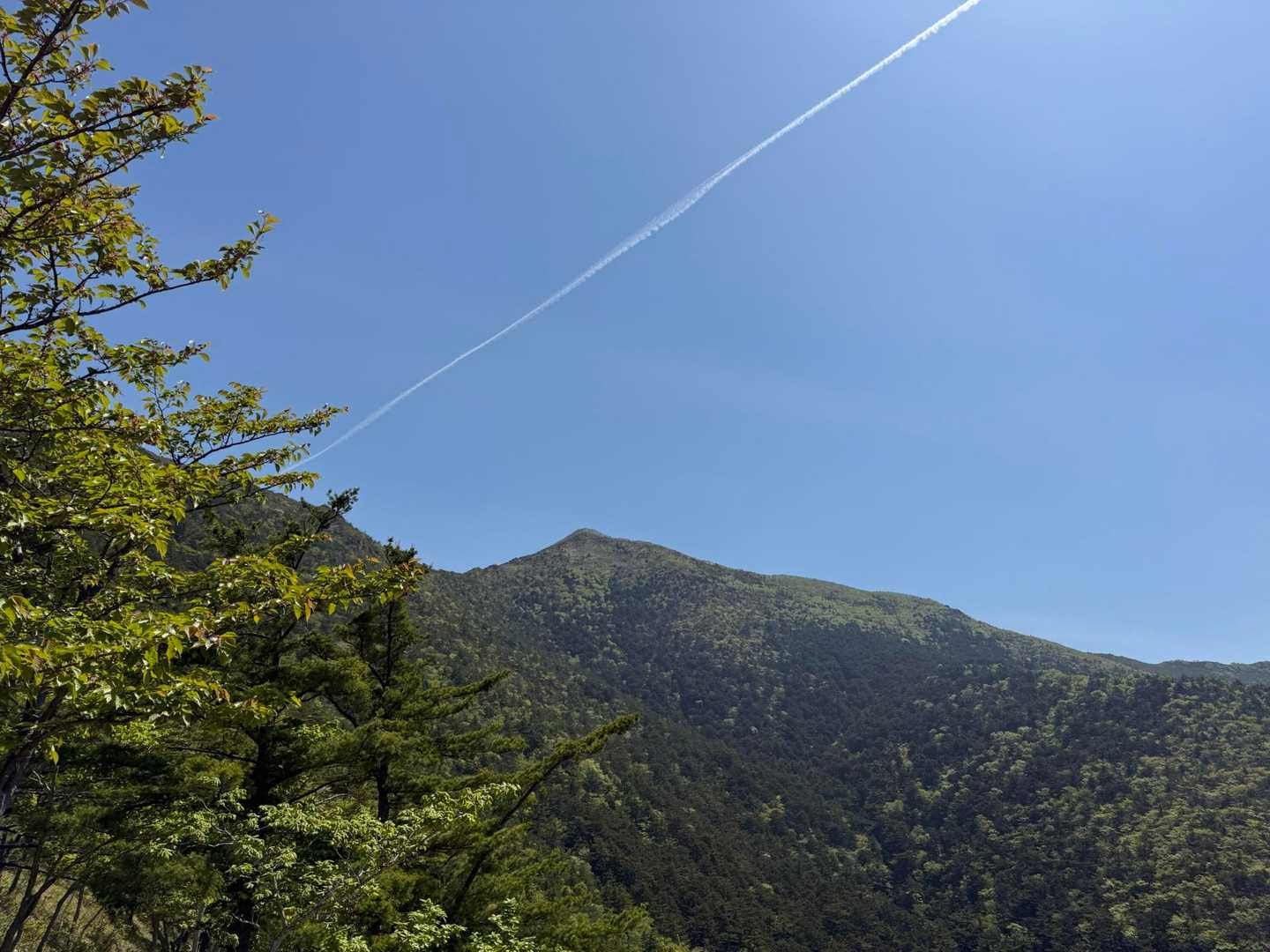 樹林帯を抜けたら五合目　🛖前からアポイ岳山頂と飛行機曇✈️