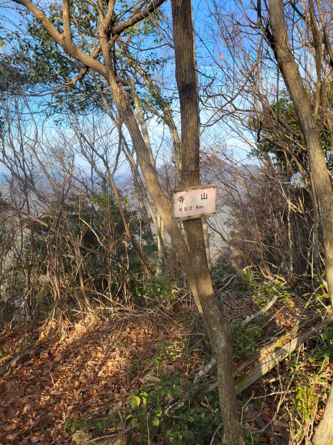 寺山の写真
