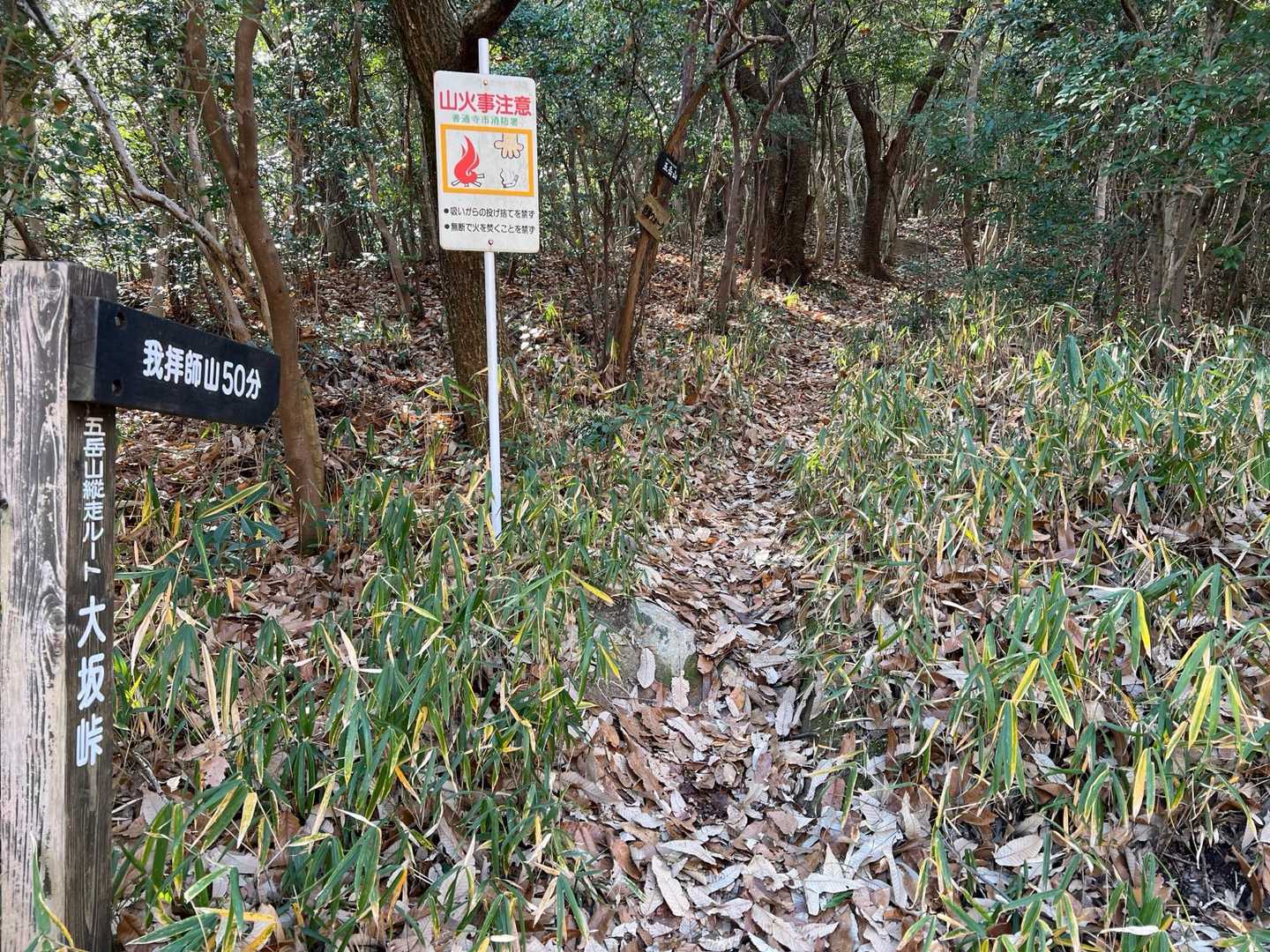 大坂峠に降りてきた