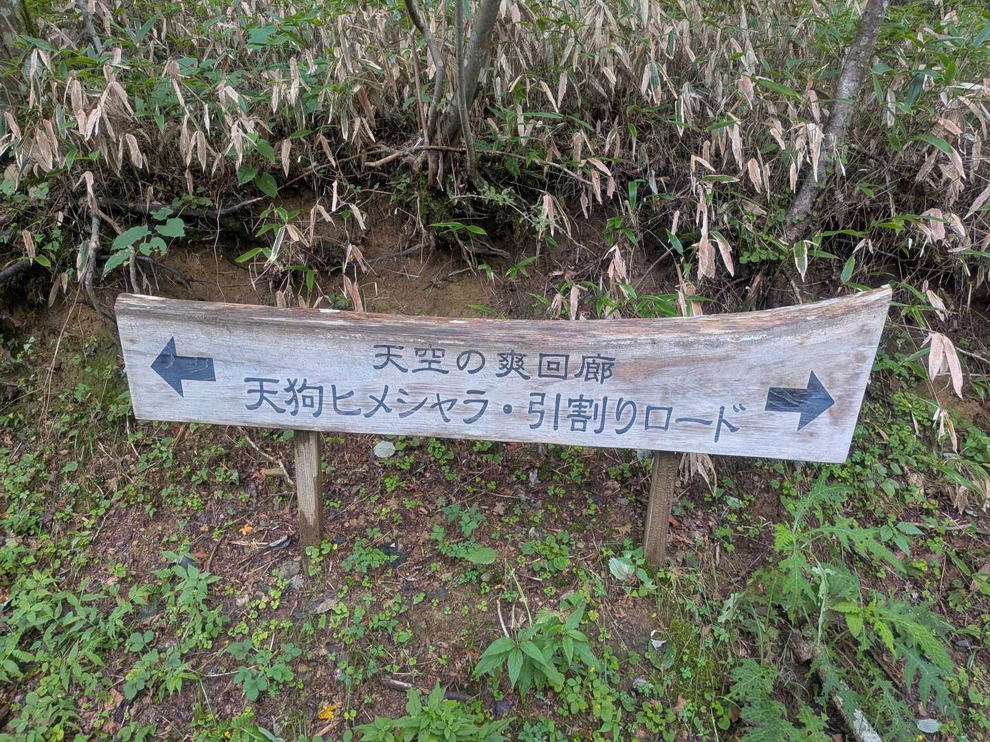 展望が無く、ただただ歩く🥾💦
天空の爽回廊だそう🤣