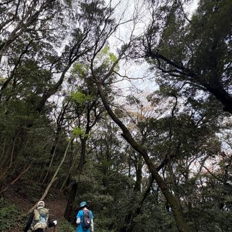 すっちゃんとは堀割でお別れ
またね〜👋