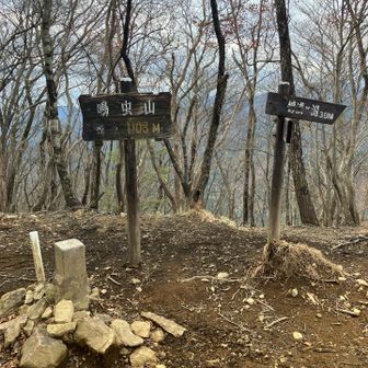 駅から2時間で山頂。落葉が深い道でしたが
ヒル被害は無し！さすが12月