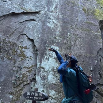 象の墓場。
ぱぉーん🐘
見どころ満載。