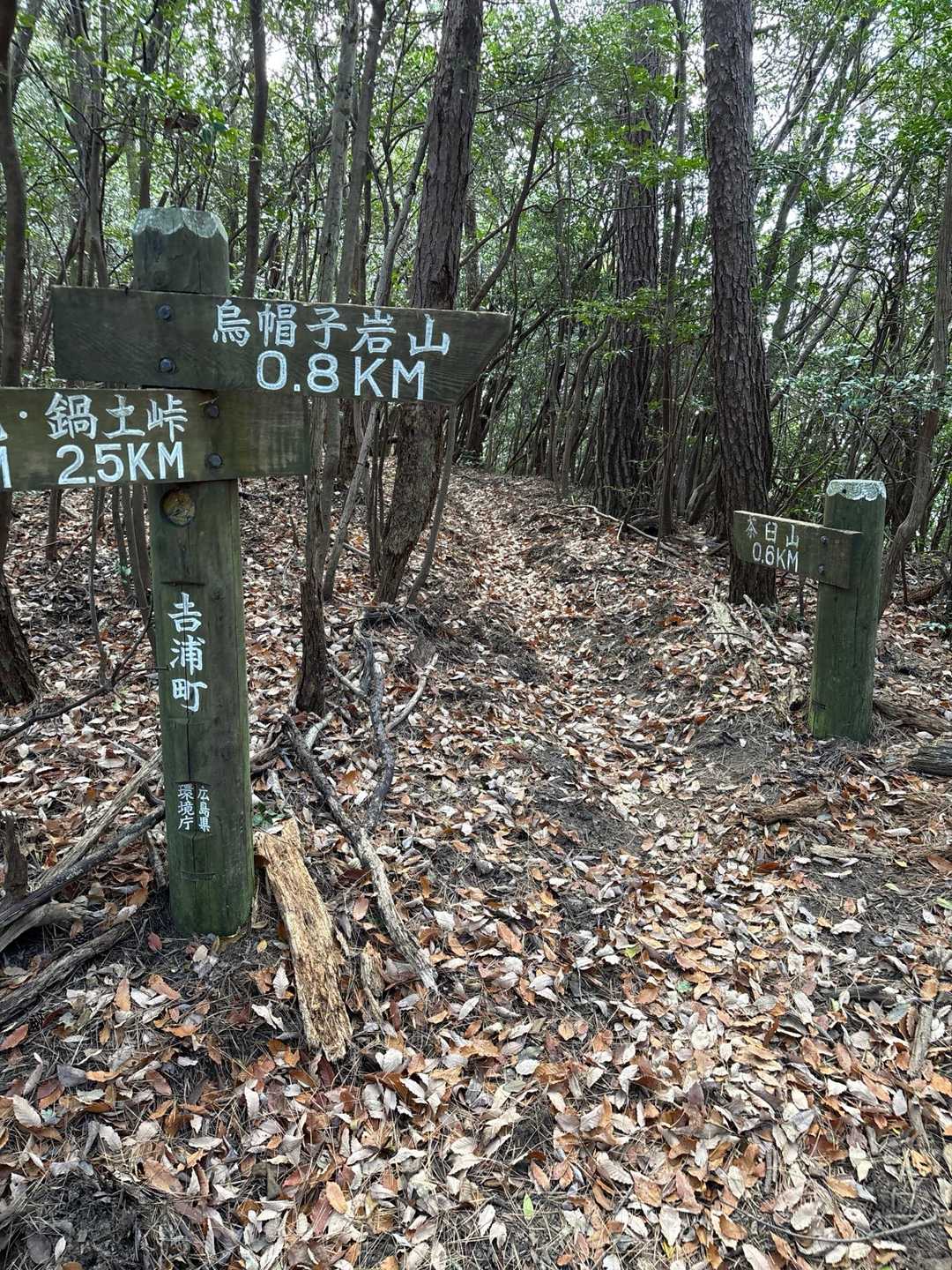 分岐