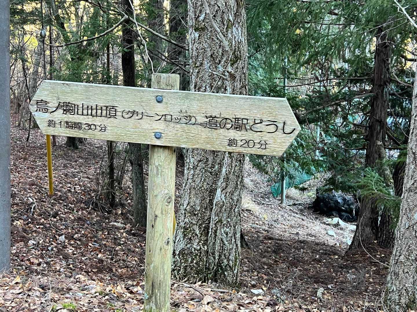 案内は多数有り👌